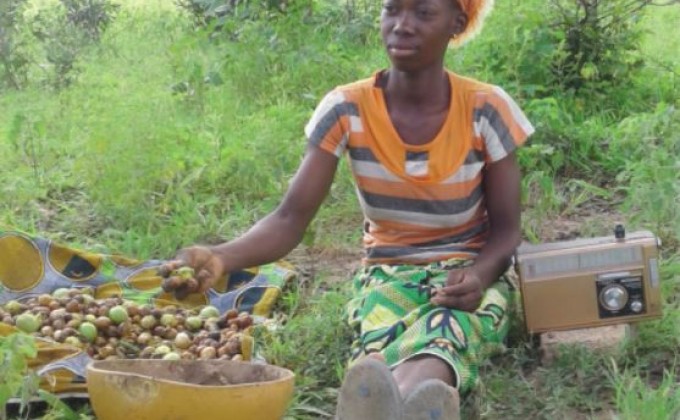 Ampliando la cosecha y comercialización de nueces de karité en Burkina Faso (en inglés)