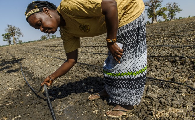 Ayudar a las y los pequeños agricultores a fomentar la resiliencia climática (en inglés)