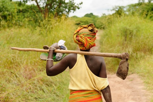 Benin - Apoyo al emprendimiento de las mujeres en la industria del arroz (en inglés)